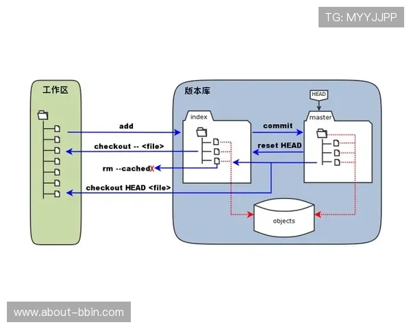 bbin大厅总站注册流程与新手入门指南 bbin大厅总站注册流程与新手入门指南